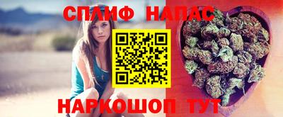 spice Кингисепп