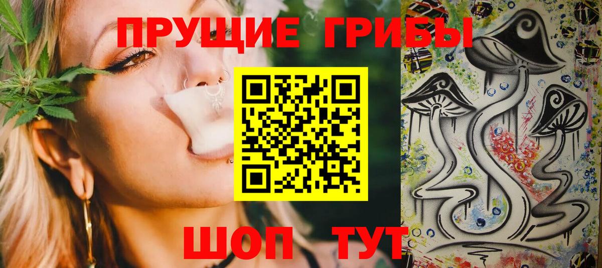 Балтийск  Псилоцибиновые грибы GOLDEN TEACHER  хочу наркоту  Вход с VPN 